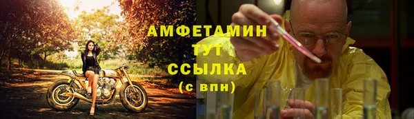 прущие крисы Белокуриха