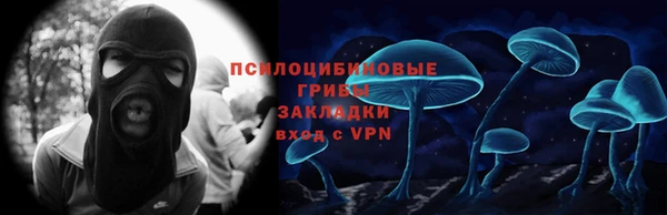 прущие крисы Белокуриха