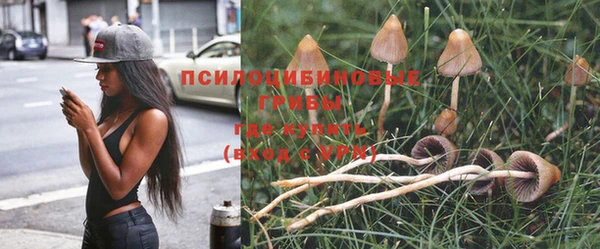 мдма Беломорск