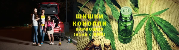 прущие крисы Белокуриха
