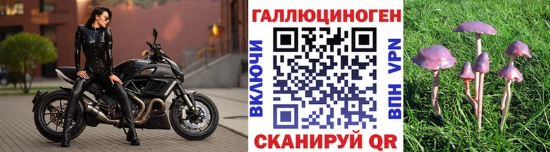 Псилоцибиновые грибы ЛСД  KRAKEN маркетплейс  Бугульма 